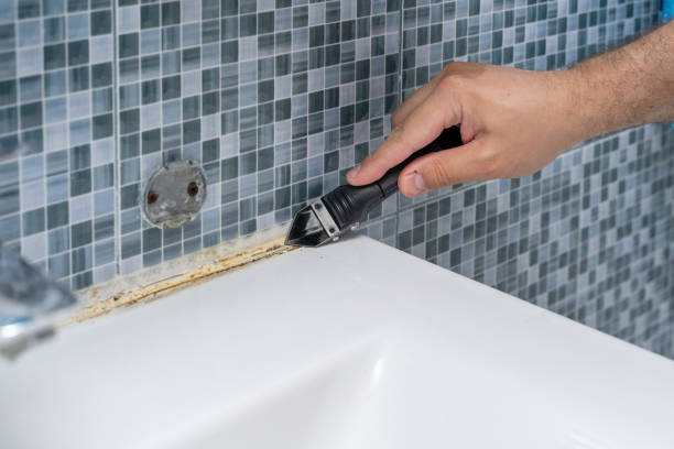Best Emergency Mold Removal  in Kincaid, IL